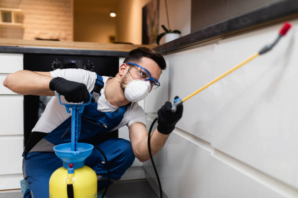 Best Affordable Pest Control Services  in Marion, IN