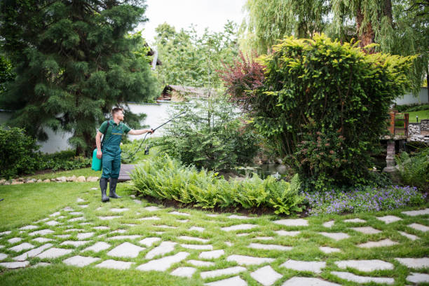 Best Wasp Removal Services  in Marion, IN