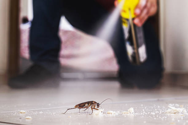 Best Commercial Pest Control Services  in Marion, IN